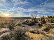 Joshua Tree National Park