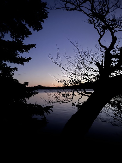 Acadia National Park