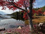 Acadia National Park