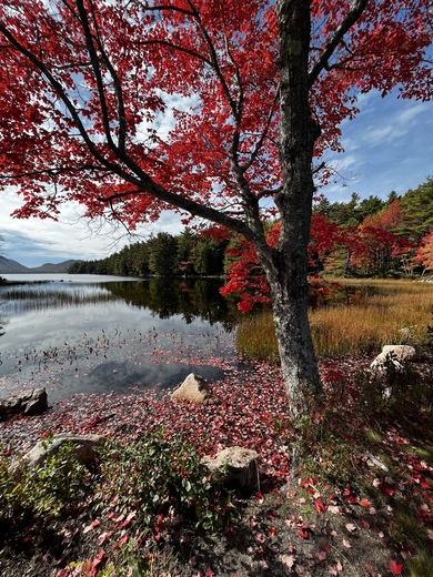Acadia National Park