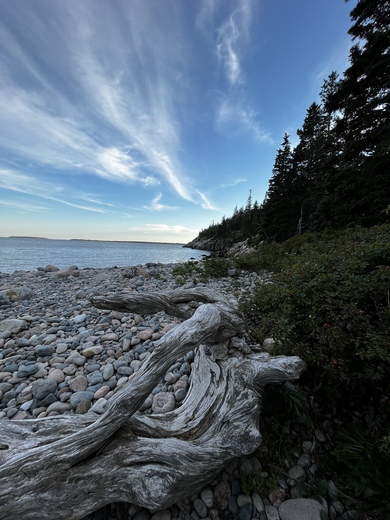 Acadia National Park