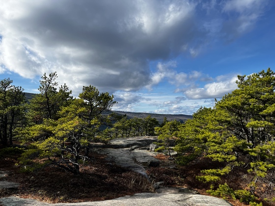 Acadia National Park