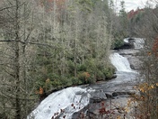 Pisgah National Forest