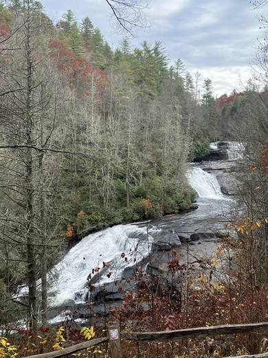 Pisgah National Forest