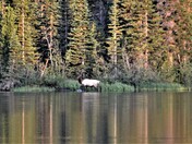 Rocky Mountain National Park
