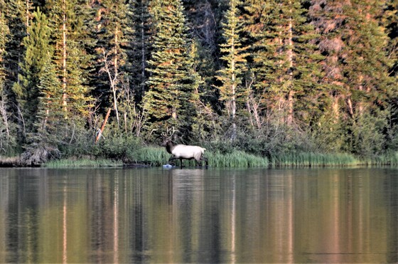 Rocky Mountain National Park