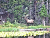 Rocky Mountain National Park