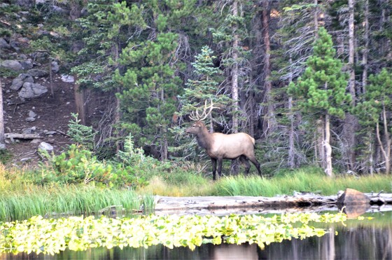 Rocky Mountain National Park