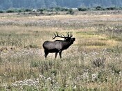 Rocky Mountain National Park