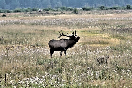 Rocky Mountain National Park