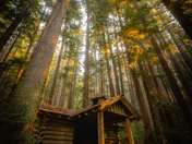 Olympic National Park
