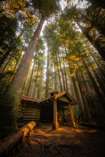 Olympic National Park
