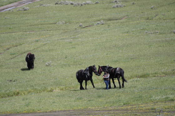 Yellowstone National Park