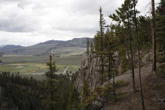 Yellowtone National Park