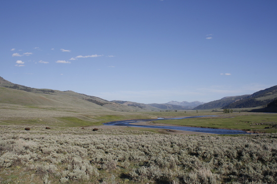 Yellowstone National Park