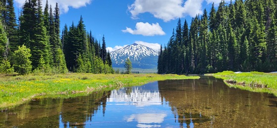 Deschutes National Forest