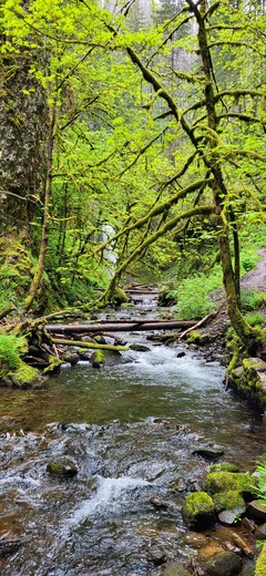 Columbia River Gorge National Scenic Area