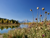 Grand Teton National Park