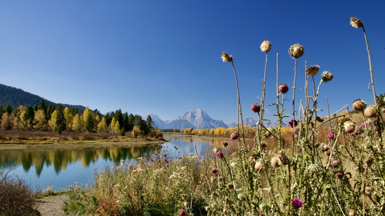 Grand Teton National Park