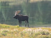Rocky Mountain National Park