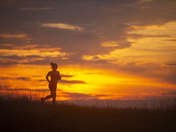 Manassas National Battlefield Park