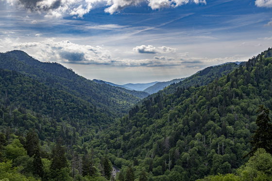 SMOKY MOUNTAINS