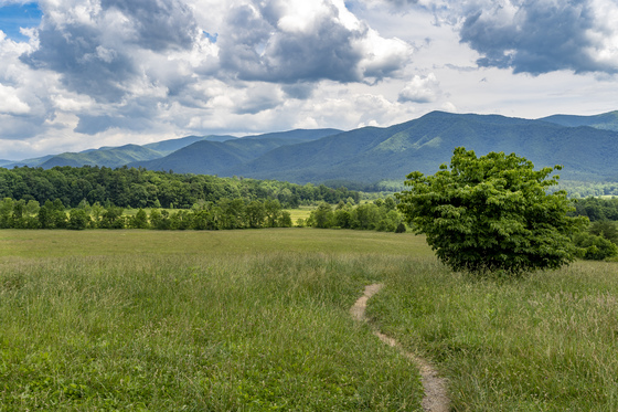 SMOKY MOUNTAINS
