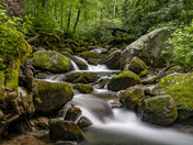 SMOKY MOUNTAINS