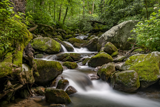 SMOKY MOUNTAINS
