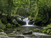 SMOKY MOUNTAINS