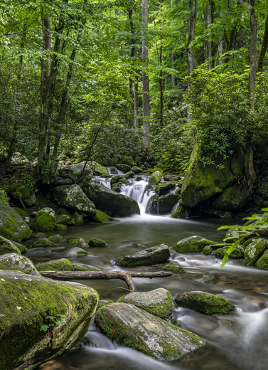 SMOKY MOUNTAINS
