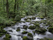 SMOKY MOUNTAINS
