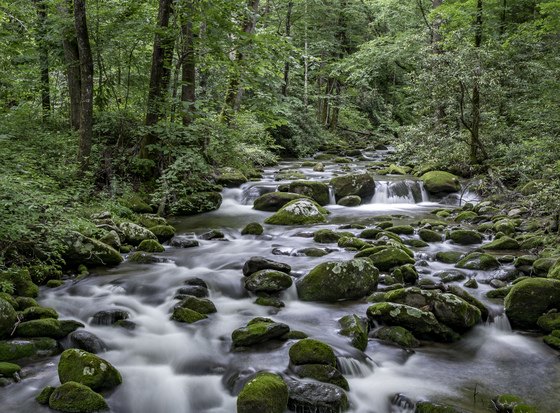SMOKY MOUNTAINS
