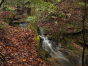 MAMMOTH CAVE