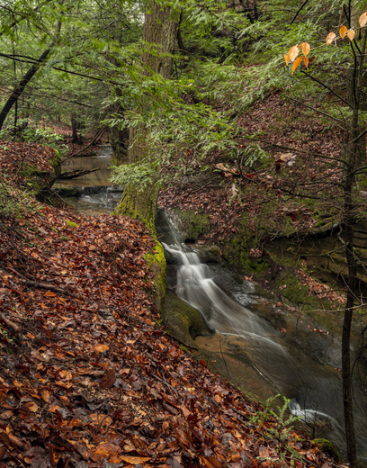 MAMMOTH CAVE