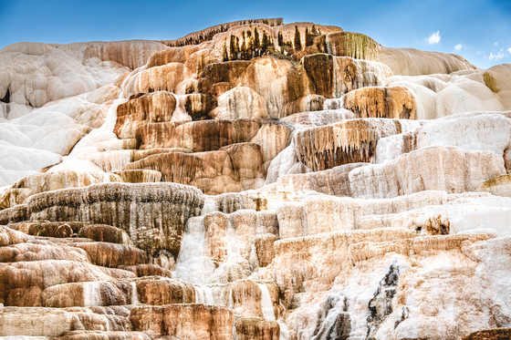 Yellowstone National Park