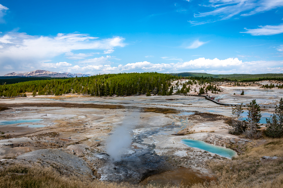 Yellowstone National Park