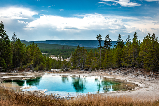 Yellowstone National Park