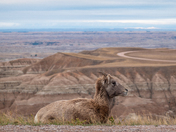 badlands national park