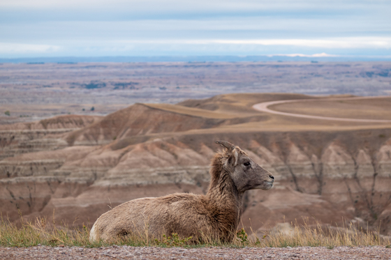 badlands national park