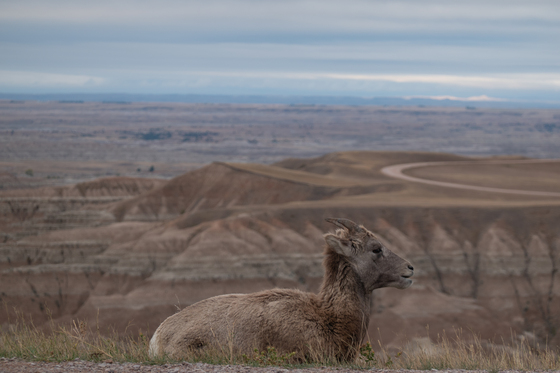 badlands national park