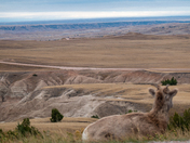 badlands national park