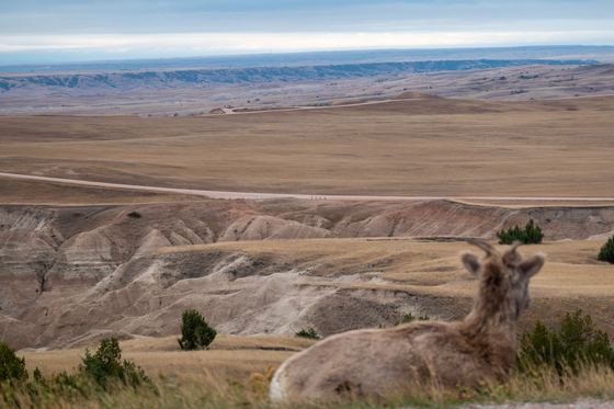 badlands national park