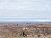 badlands national park
