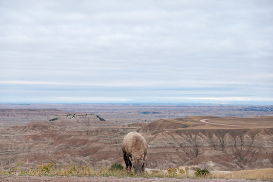 badlands national park