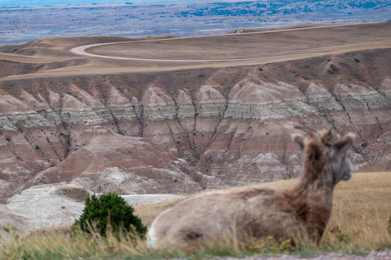 badlands national park