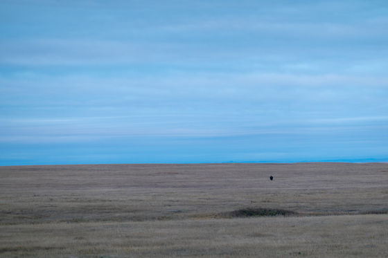 badlands national park
