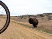 badlands national park