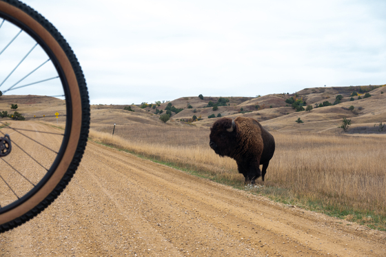 badlands national park