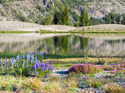 Deschutes National Forest